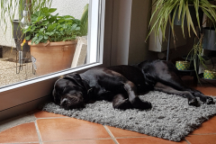 Do not disturb